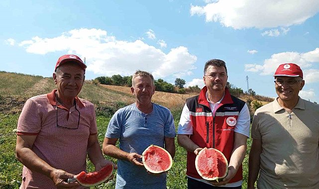 Tekirdağ karpuzu tezgâhlara çıkıyor