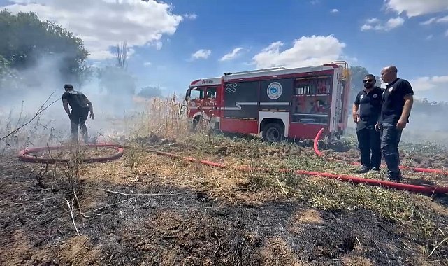 Tekirdağ'da anız yangını 100 dekarlık alana zarar verdi