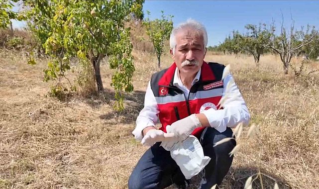 Tekirdağ'da çiftçiye tarla faresine karşı zamanında mücadele çağrısı
