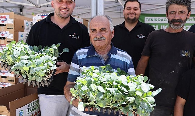 Tekirdağ'da üreticiye kışlık sebze desteği: 104 bin fide dağıtılıyor