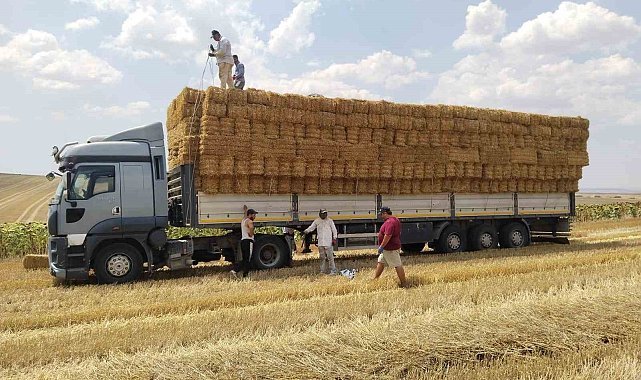 Tekirdağlı genç çiftçiden yangın bölgesindeki üreticilere saman balyası yardımı
