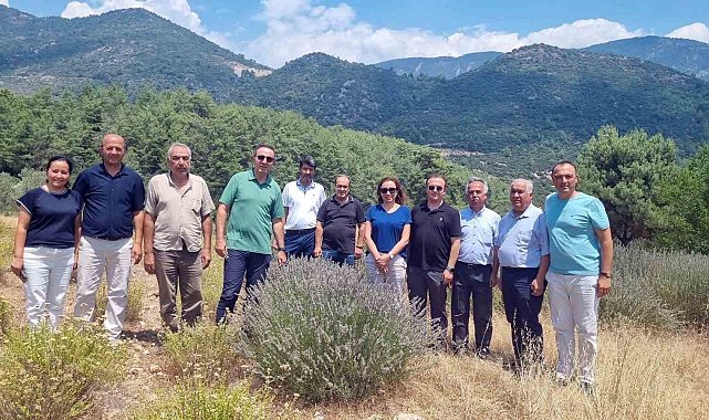 Tıbbi ve Aromatik Bitkileri yerinde inceleme