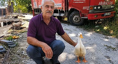 Torunların hevesi geçti, dedenin en yakın dostu oldu
