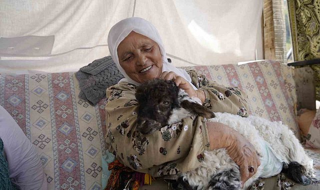 Torunu gibi büyüttüğü kuzu "Boncuk" evin neşe kaynağı oldu