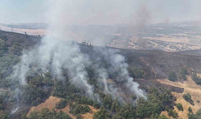 Tunceli'de orman yangını: Havadan ve karadan müdahaleye başlandı