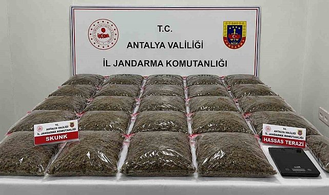 Uyuşturucu operasyonunda 13 şüpheli yakalandı