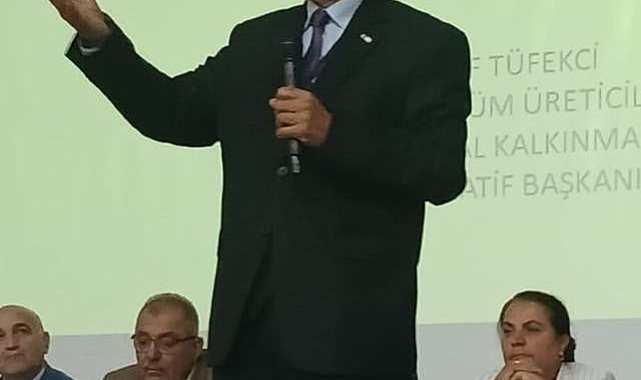 Üzüm sektöründen 'Eylem Planı' çağrısı
