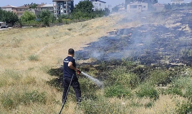 Van'da anız yangını