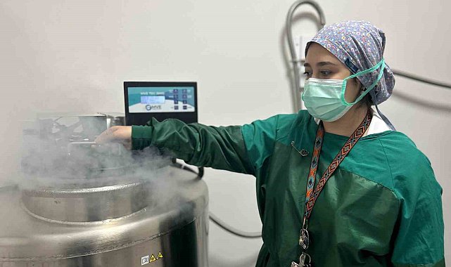 Van'da tüp bebek tedavisinde ilk gebelikler başladı