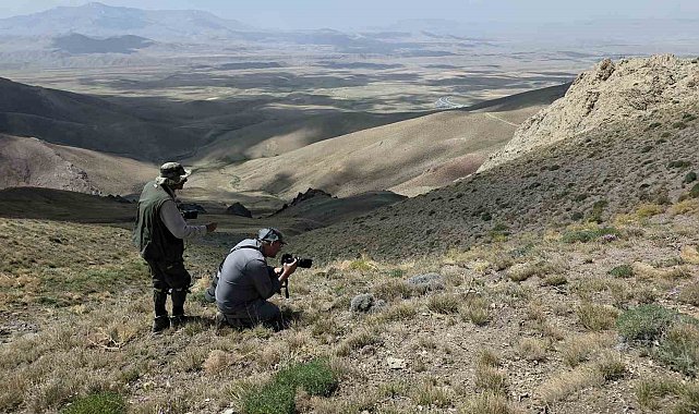 Van'daki kelebeklerin peşinde 2 bin kilometre yol yaptılar