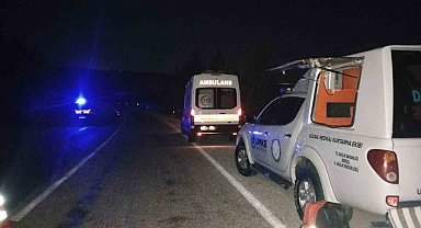 Yabani hayvana çarpan hafif ticari araç şarampole uçtu