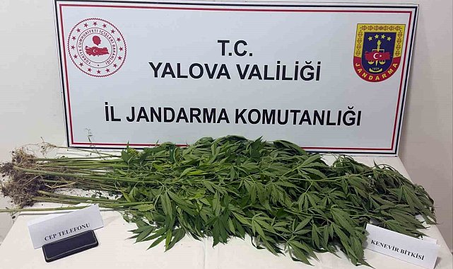 Yalova'da uyuşturucu operasyonu: 3 gözaltı
