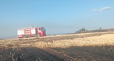 Yangına sebep olan şahıs tutuklandı