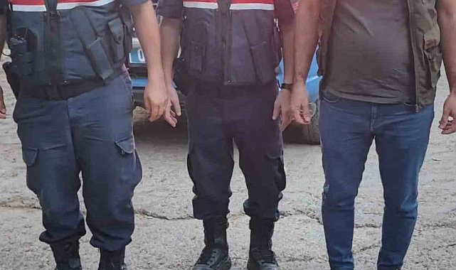 Yaralı dağ keçisini jandarma kurtardı