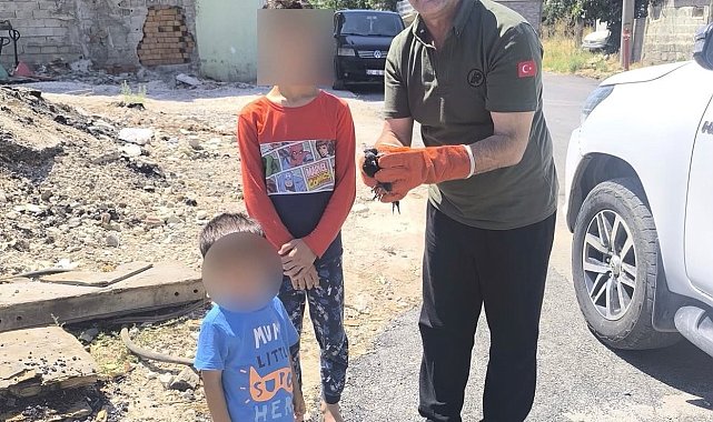Yaralı ve yavru yaban hayvanları koruma altına alındı