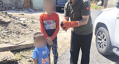 Yaralı ve yavru yaban hayvanları koruma altına alındı