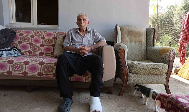 Yaşlı adama çarpıp hiçbir şey olmamış gibi yoluna devam etti