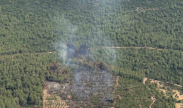 Yatağan'da korkutan zirai yangın kontrol altına alındı