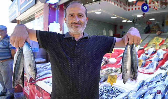 Yıllardır böylesi görülmedi: Karadeniz'den palamut fışkırıyor