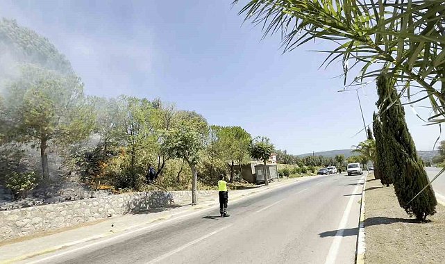 Yol kenarında başlayan yangın ormana sıçradı, ekiplerin müdahalesiyle söndürüldü