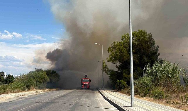 Yol kenarından başlayan yangın otel bahçesinde kontrol altına alındı
