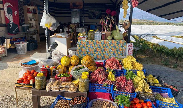 Yol üzerinde dalından sofraya