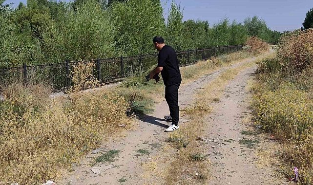 Yoldaki kaplumbağayı duyarlı vatandaş kurtardı