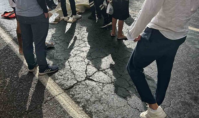 Yolun karşısına geçmeye çalışırken hayatını kaybetti