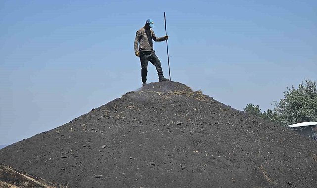 Yozgat'ta duman ve sıcak içinde meşe kömürü mesaisi