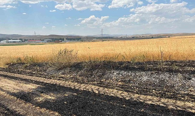 Yozgat'ta yaklaşık 10 dönüm ekili arazi yandı