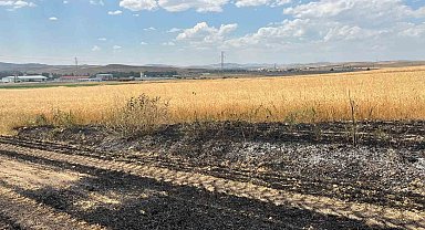 Yozgat'ta yaklaşık 10 dönüm ekili arazi yandı