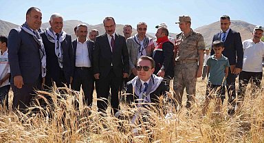 Yüksekova Kaymakamı Volkan Hülür Büyükçiftlik'te buğday hasadına katıldı