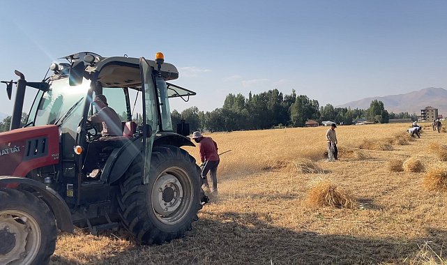 Yüksekova'da asırlık gelenek: İmece usulü hasat dönemi devam ediyor