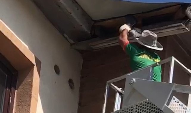 Yüksekova'da nefes kesen kurtarma: Çatıda mahsur kalan güvercin için zamanla yarışıldı