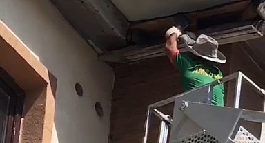 Yüksekova'da nefes kesen kurtarma: Çatıda mahsur kalan güvercin için zamanla yarışıldı
