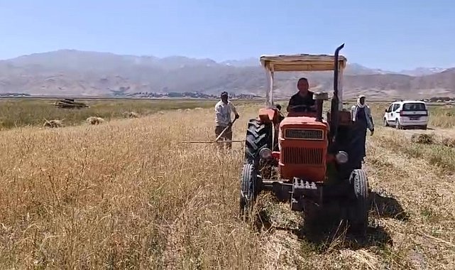 Yüksekova'da sıcak havaya rağmen çiftçilerin hasat mesaisi başladı