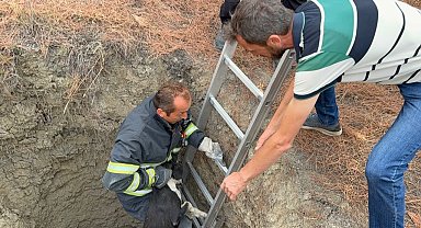 10 metre derinliğindeki kuyuya düşen köpeği itfaiye kurtardı