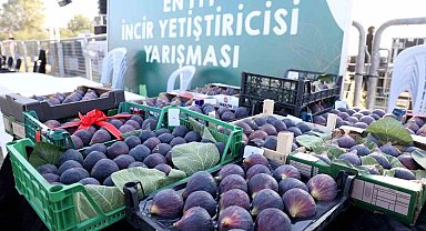 12. Akçalar Fadıllı İncir Festivali 13 Eylül'de Akçalar Göl Kıyısı'nda