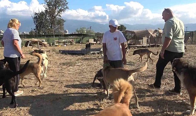 18 yıllık gönüllülük, 4,5 dönümlük yaşam evine dönüştü...130 cana yuva oldular
