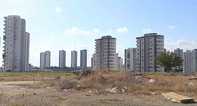 Adana'da cırcır böceği sesleri vatandaşları uyutmuyor