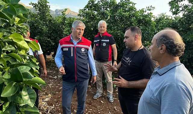 Adana'da dolu vuran tarım arazilerinde incelemeler başladı