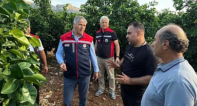 Adana'da dolu vuran tarım arazilerinde incelemeler başladı