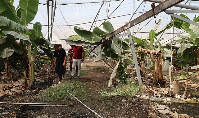 Adana'da fırtına çatıları uçurdu, muz serasında direkler devrildi