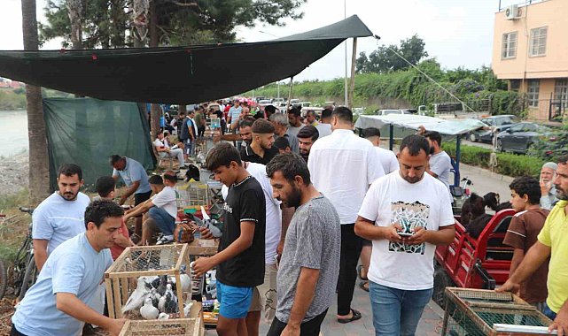 Adana'da kuş meraklıları kuş pazarında buluşuyor