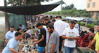 Adana'da kuş meraklıları kuş pazarında buluşuyor