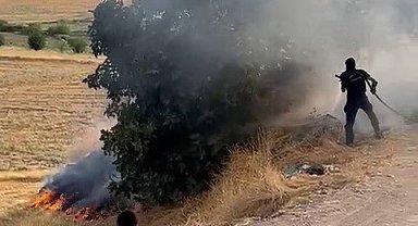 Adıyaman'da bahçe yangını paniğe neden oldu