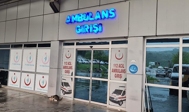 Ağaçtan düşen adam, merdiveni tutan kişiyi de yaraladı