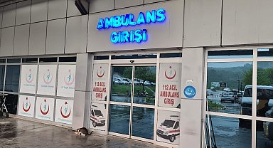 Ağaçtan düşen adam, merdiveni tutan kişiyi de yaraladı