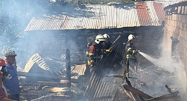 Ahır yangınında 5 hayvan telef oldu