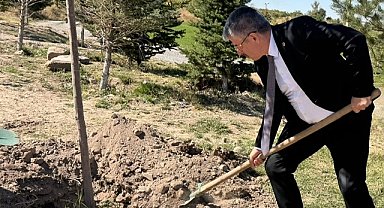 AK Partili Şaban Çopurluoğlu Kayseri Talas'ta fidan dikti